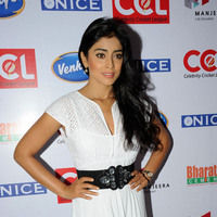 Shriya Saran new pictures | Picture 47221